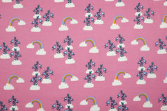Baumwolljersey Rosie Rainbow himbeer 463404