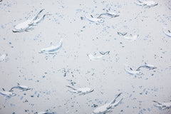 Baumwolljersey Delfine hellgrau