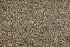 Baumwolljersey Leoprint