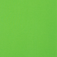 Reststück : 1,40m -French Terry uni limegrün