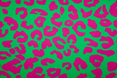 Canvas Crazy Leo