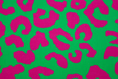 Canvas Crazy Leo