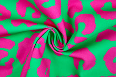 Canvas Crazy Leo