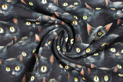 French Terry Digital Eyes on You - Black Cats