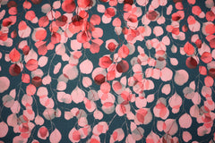 French Terry angeraut Eukalyptus SH - koralle/dunkelgrau