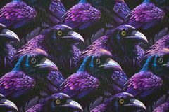 French Terry Digital Eyes on You - Raven