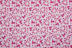 Reststück: 1,00 m  Baumwolljersey Digital  Jade Blümchen rosa