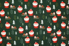 Baumwolljersey Santa Forest