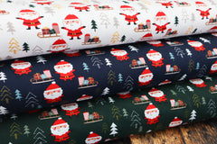 Baumwolljersey Santa Forest