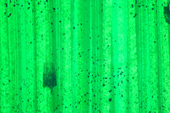 Panel Baumwolljersey Luke & Drago