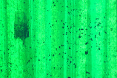 Panel Baumwolljersey Luke & Drago