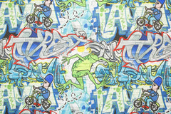 Softshell Street Art Frog