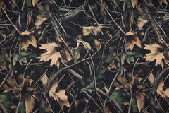 Softshell Digital In the Woods