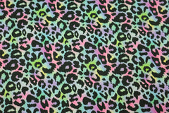 Softshell Digital Rainbow Leo