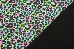 Softshell Digital Rainbow Leo