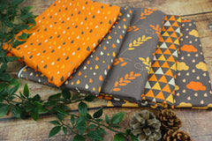 Stoffpaket 2,5m Baumwolle (5×0,5m) - Herbst