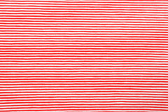 Baumwolljersey Fineline Stripes - rot