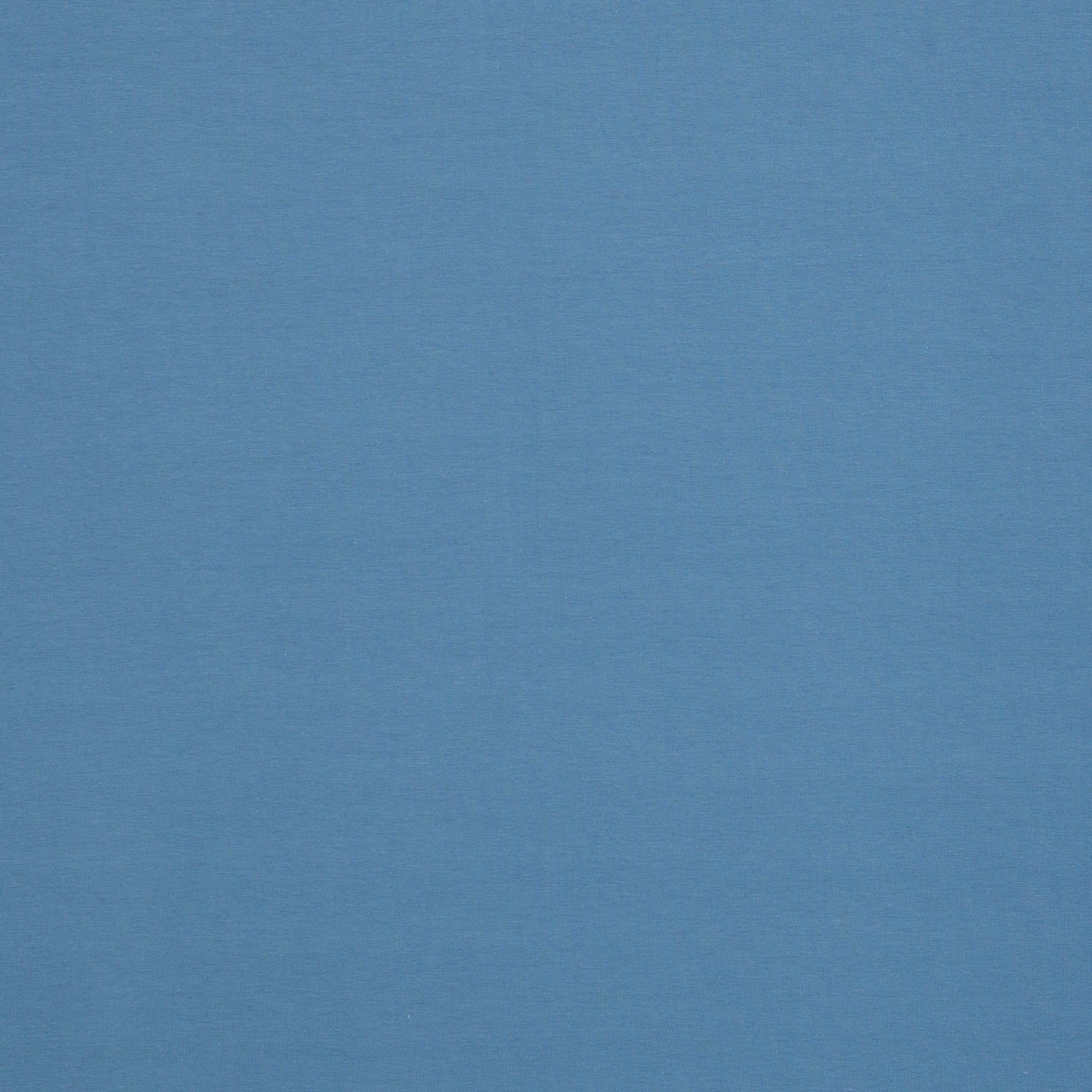 Sweatshirtstoff Eike Uni taubenblau - Saison HW26/27 bei der Buntspecht
