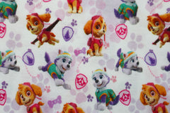 100% Baumwolle Singlejersey Paw Patrol Sky & Everest