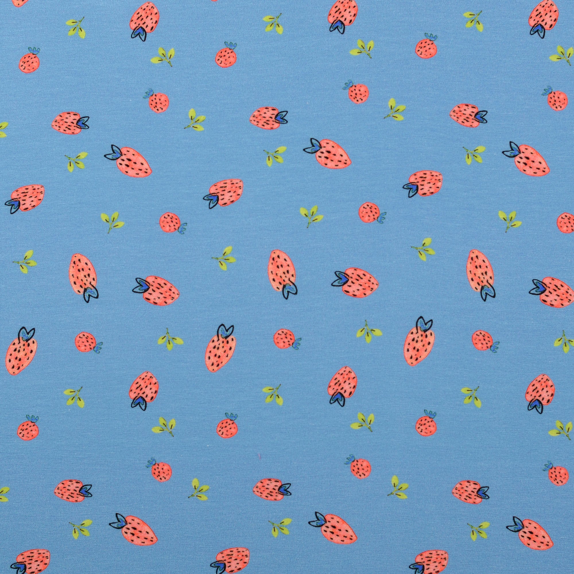 Baumwolljersey Strawberry in blau bei Der Buntspecht