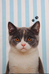 Canvas Panel Digital Kater Thorsten