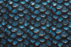 French Terry angeraut Digital Dark Scales