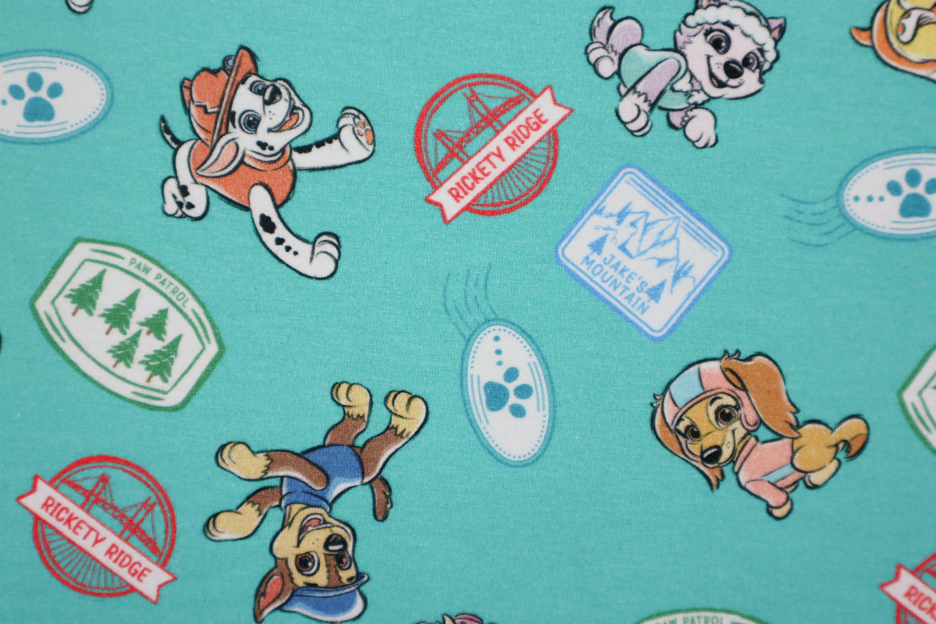 Baumwolljersey Paw Patrol - Sticker Print in türkis bei Der Buntspecht