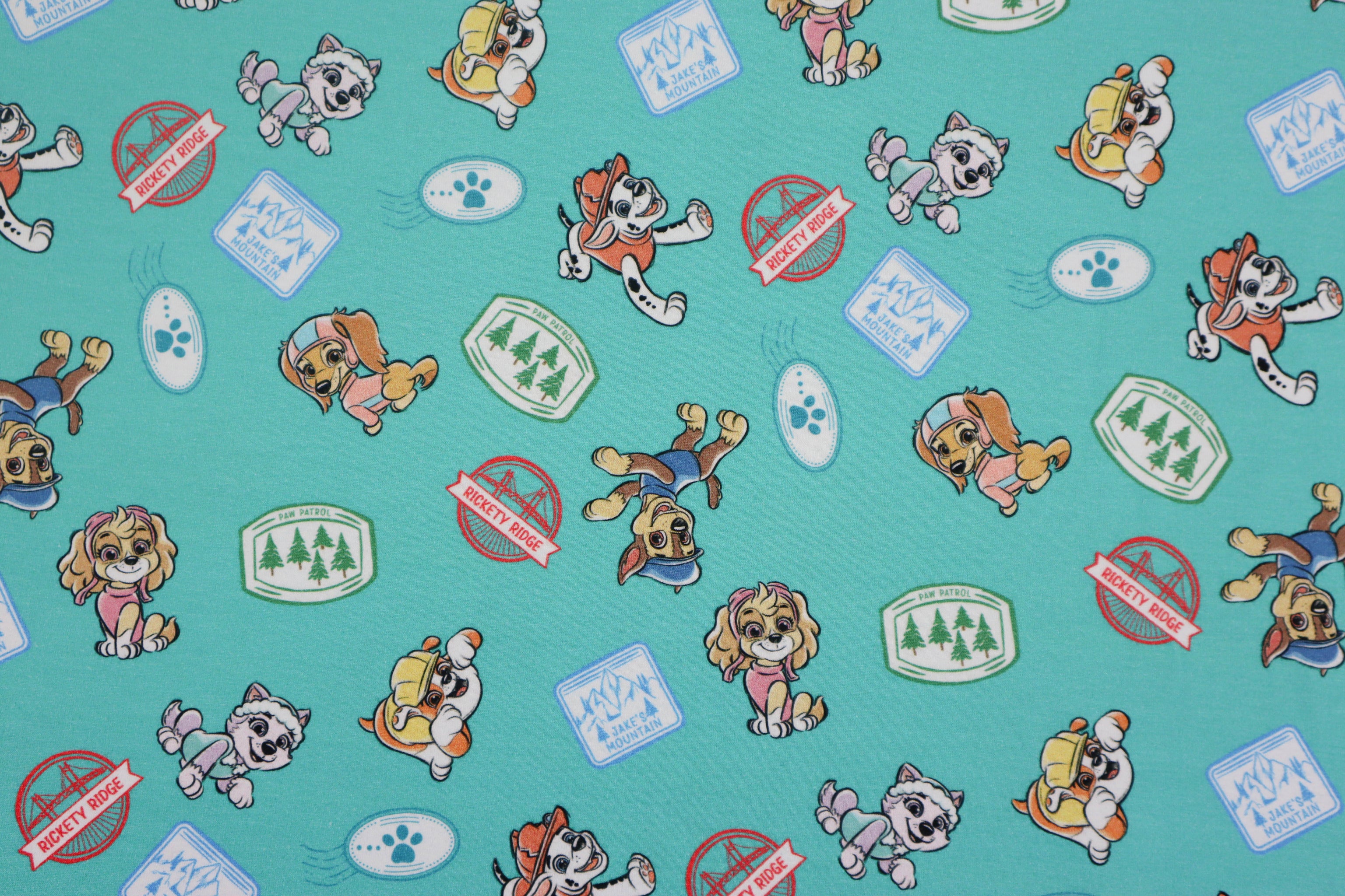 Baumwolljersey Paw Patrol - Sticker Print in türkis bei Der Buntspecht