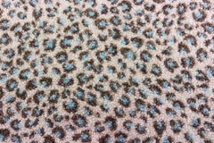 Teddy Boucle Bright Leo