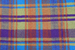 Teddy Jacquard Colorful Checks
