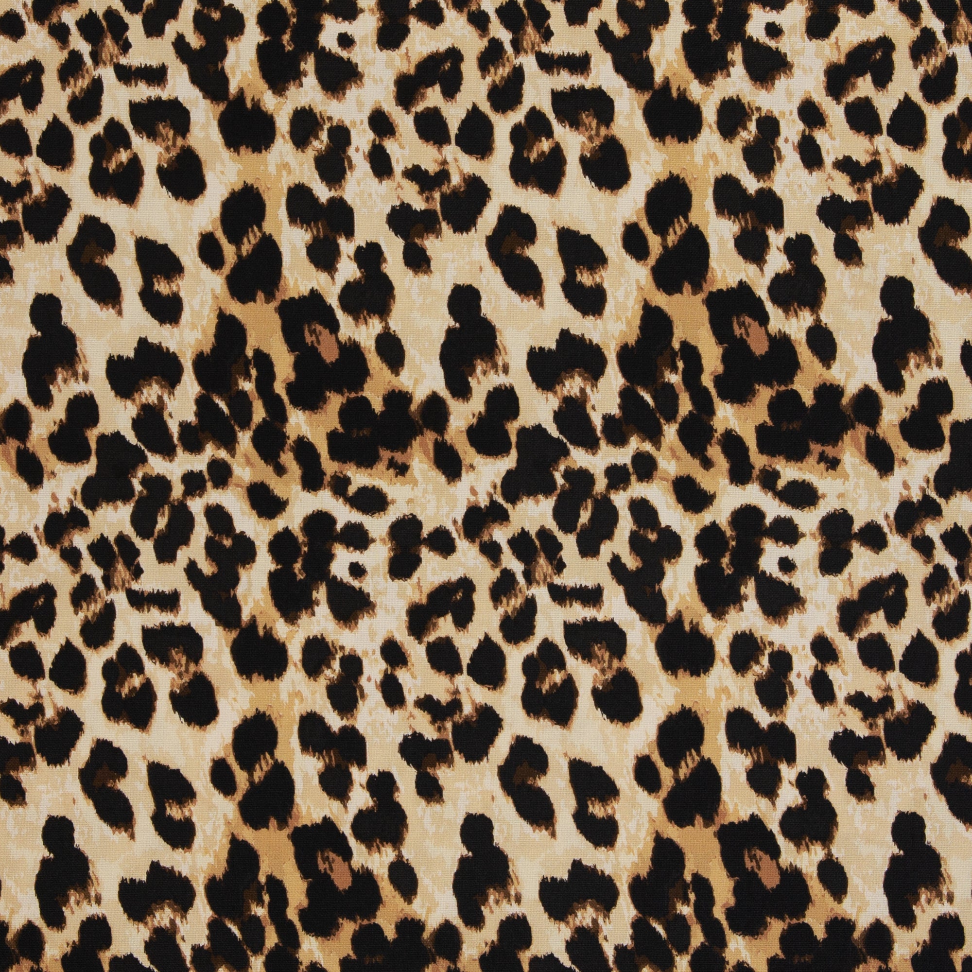 Canvas Doha Wild Animalprint bei Der Buntspecht Shop