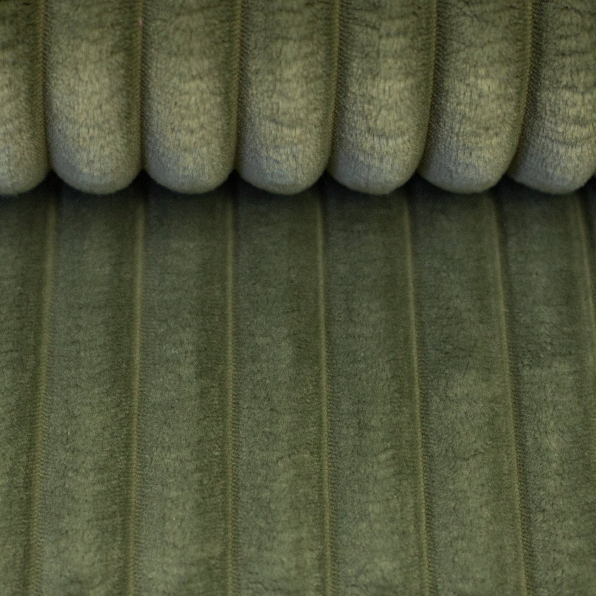Plüsch Breitcord Plön in der Farbe oliv bei Der Buntspecht