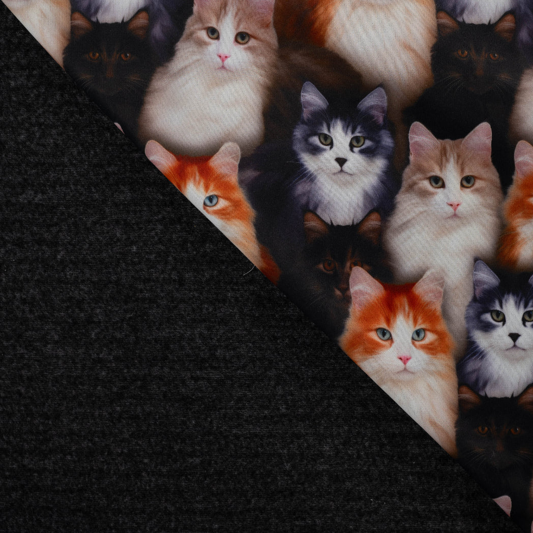 Alpenfleece Digital mit Katzen vom Buntspecht